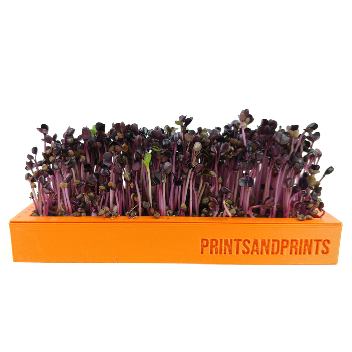 productImage-20535-microgreens-starter-kit-2.jpg