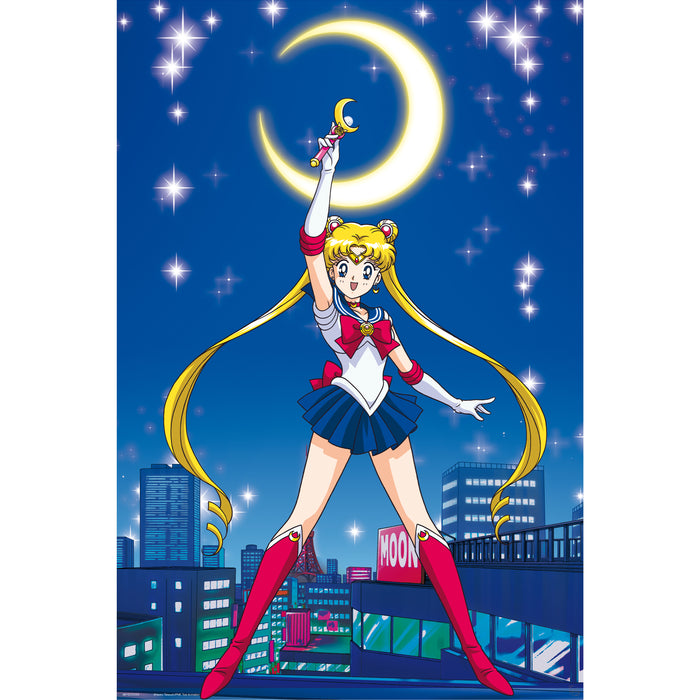 productImage-21406-sailor-moon-poster-sailor-moon.jpg