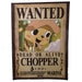 productImage-21880-one-piece-wanted-poster-7.jpg